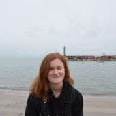 vilde